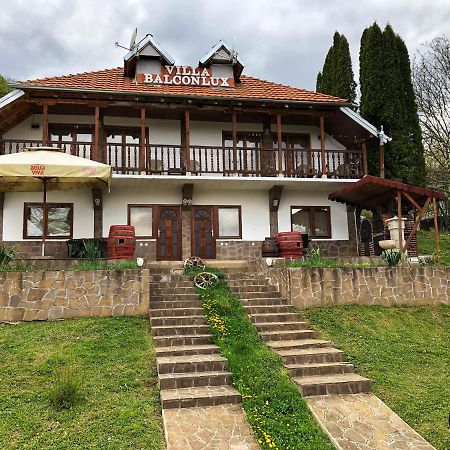 Villa Balconlux - Zavojsko Jezero, Пирот Экстерьер фото